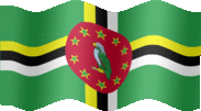 Large still flag of Dominica