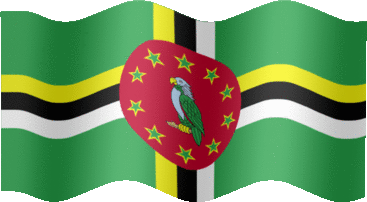 Extra Large still flag of Dominica