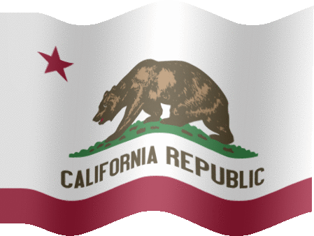 California+flag+art