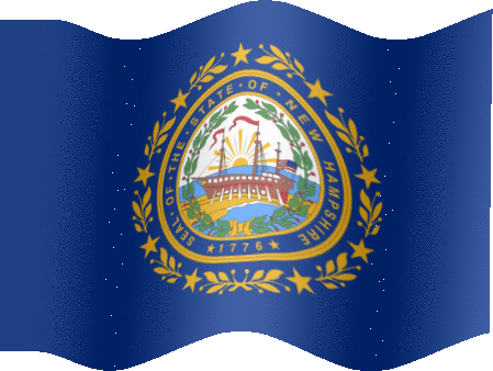 Very Big still flag of New Hampshire